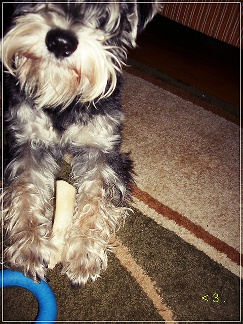 Mj skarb !  ; ))