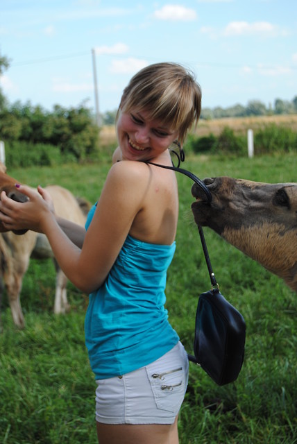 Katarzyna Pyyyyy & konik polski