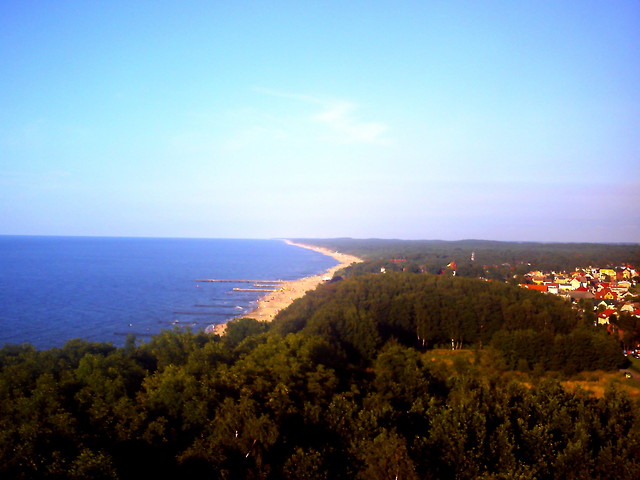Psuja...