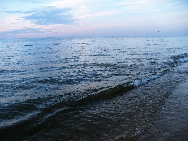201*