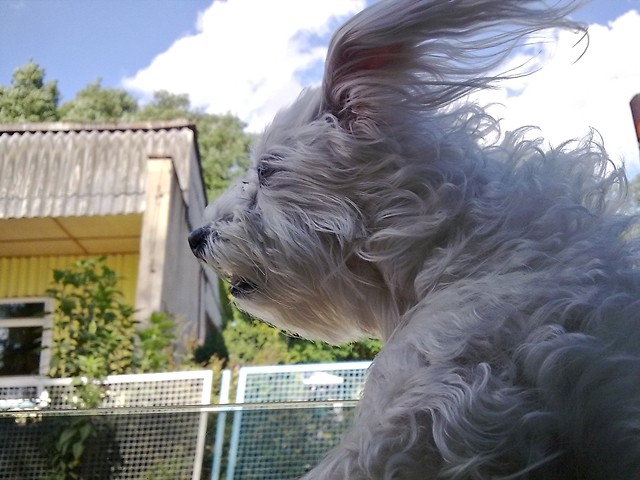 Whitu :D