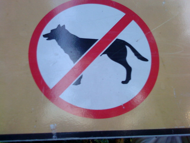 `Dla kociarzy :P