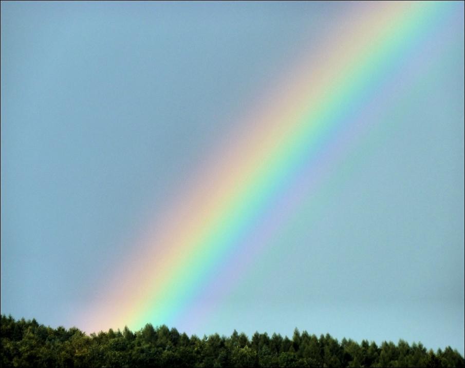 Rainbow in my life..