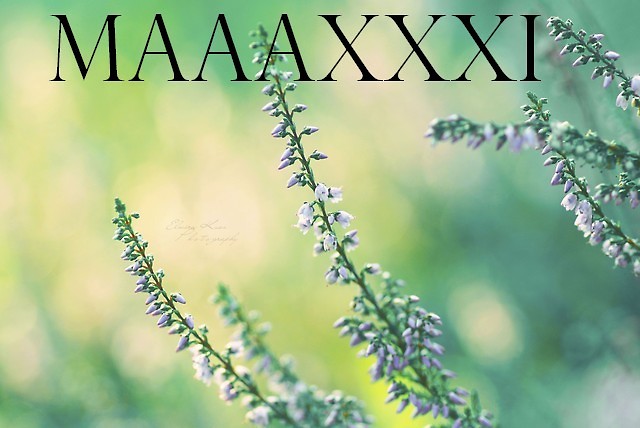 MAAAXXXI