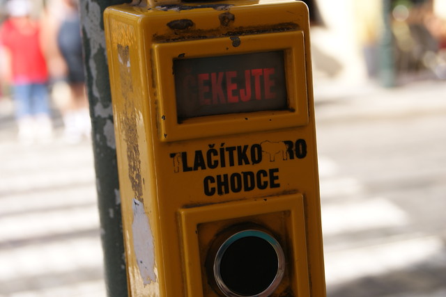 Cekejte