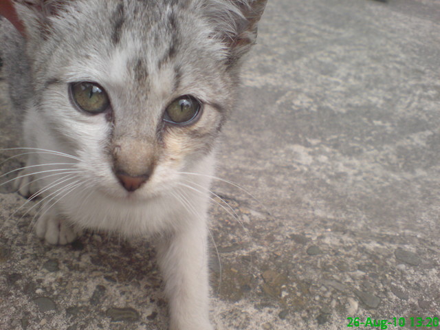 loppua