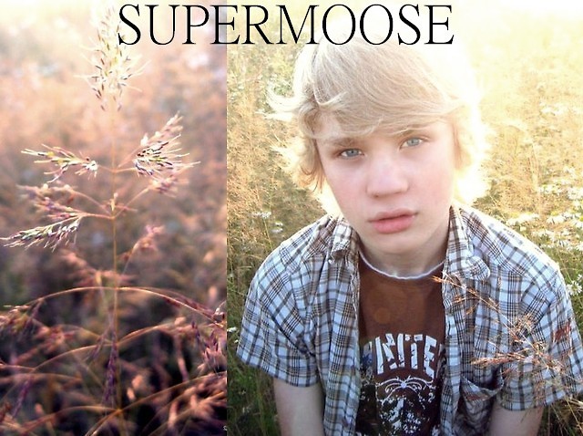 SUPERMOOSE-KROKDOPRZODU