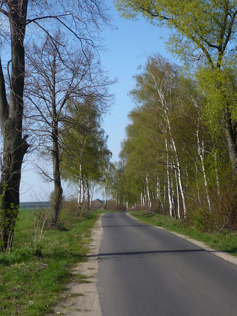 Stare dzieje
