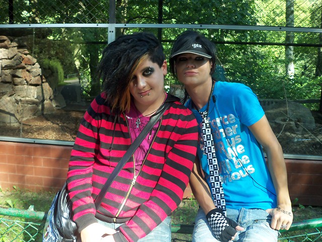 zoo