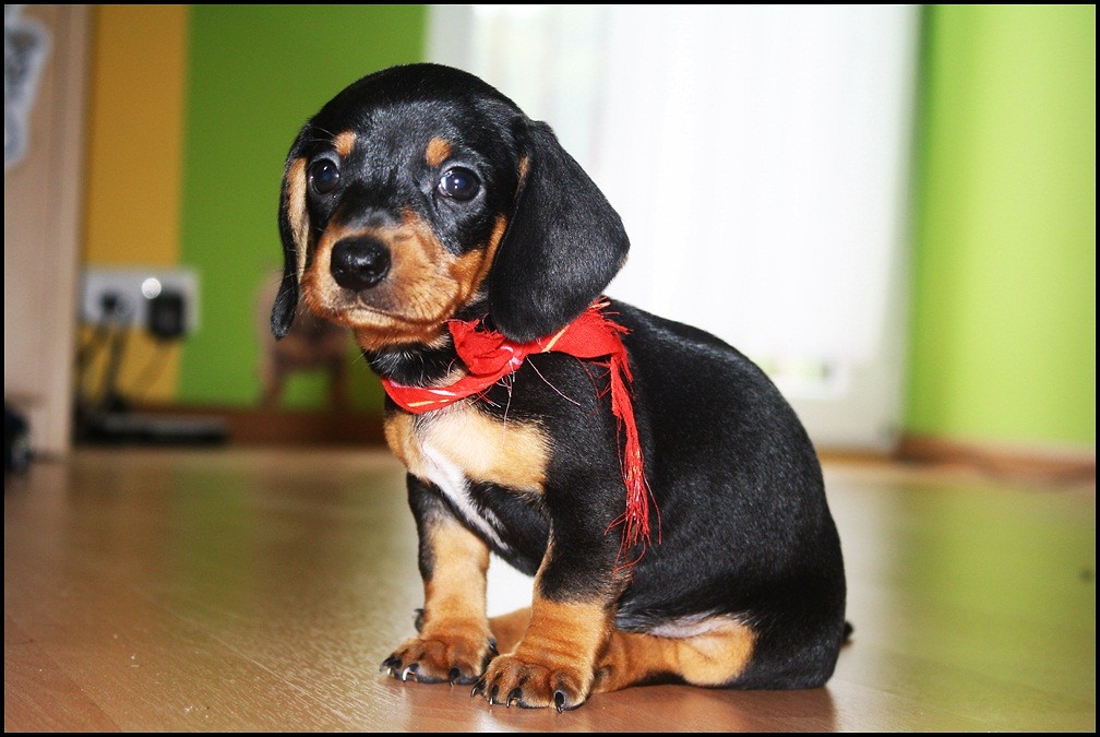 Ares.