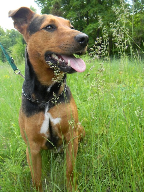 Max 