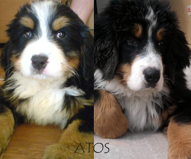 Atos