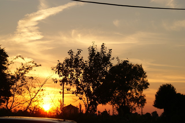 sun ♥  