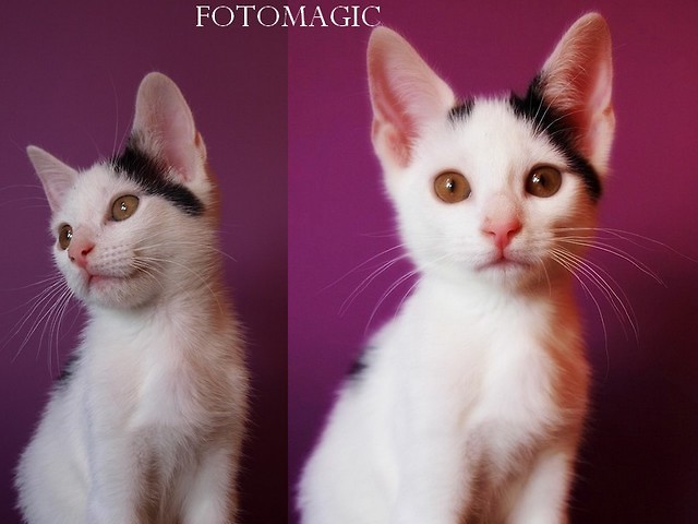 FOTOMAGIC