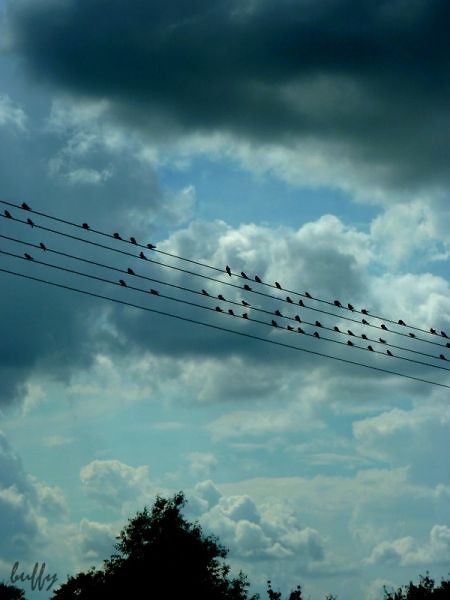 blue sky!