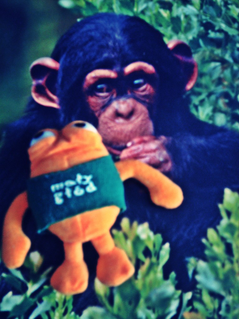Godek & friend xDDDD
