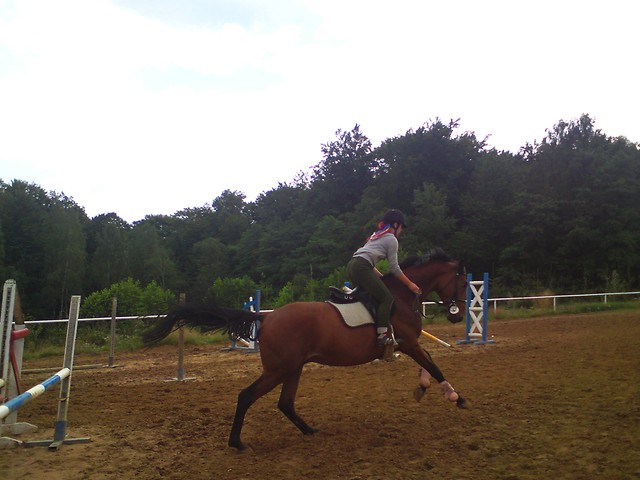 Wermut ;*