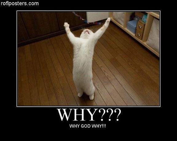 No wlasnie WHY !!!!!!!