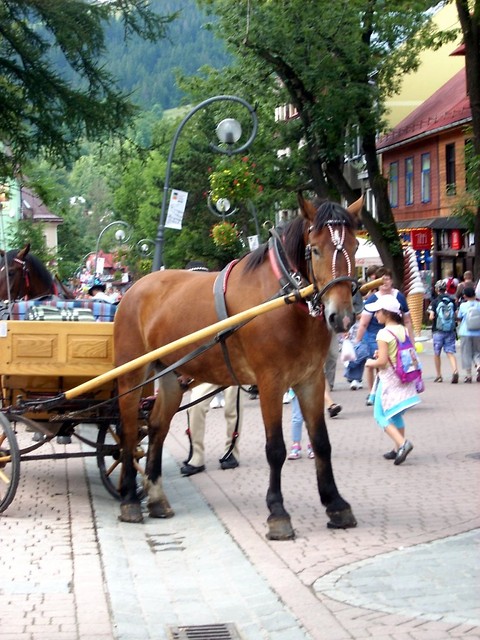 Zakopane'10