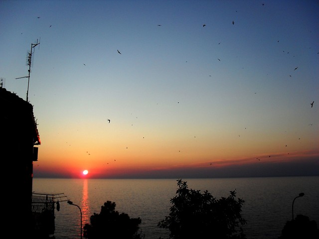 Tropea