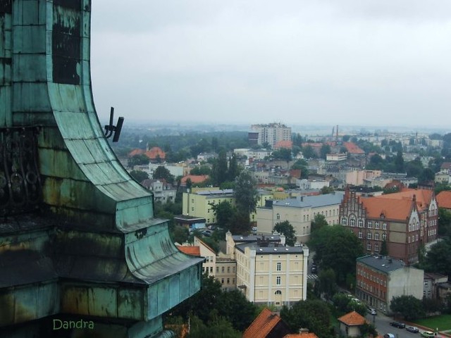 Najlepiej nie czyta!