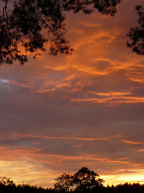 ....clouds....
