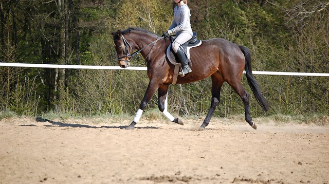 Nefele;***