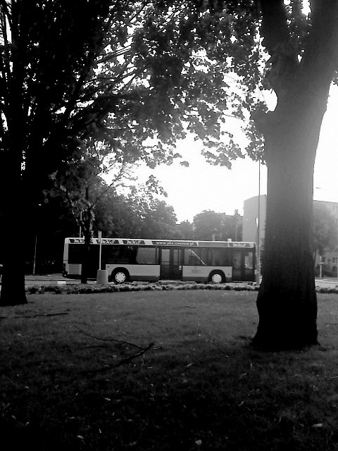 MAN NL263, MKS, kobieta kieruje 