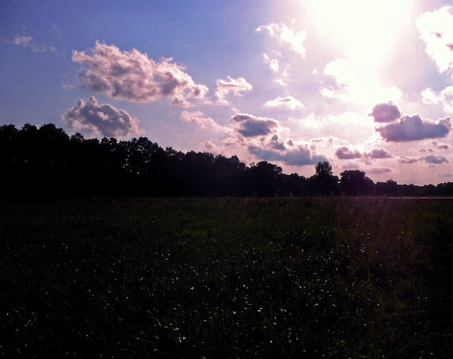 summer.