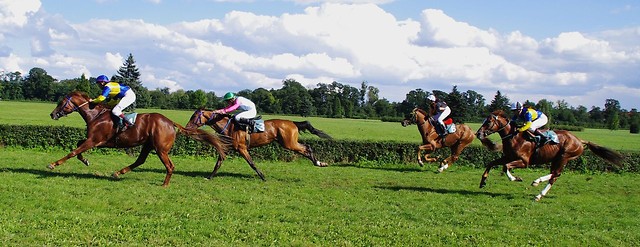 derby