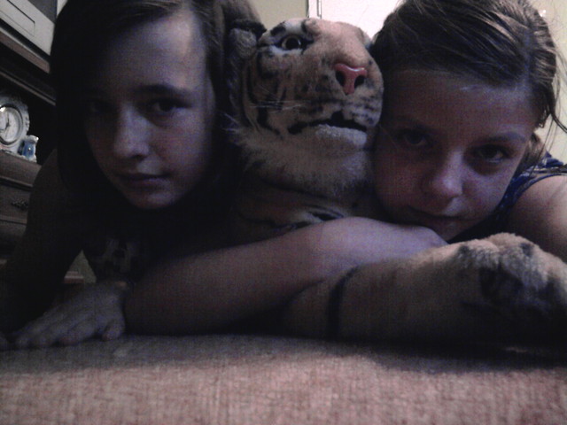 my i tygrysek xDD 