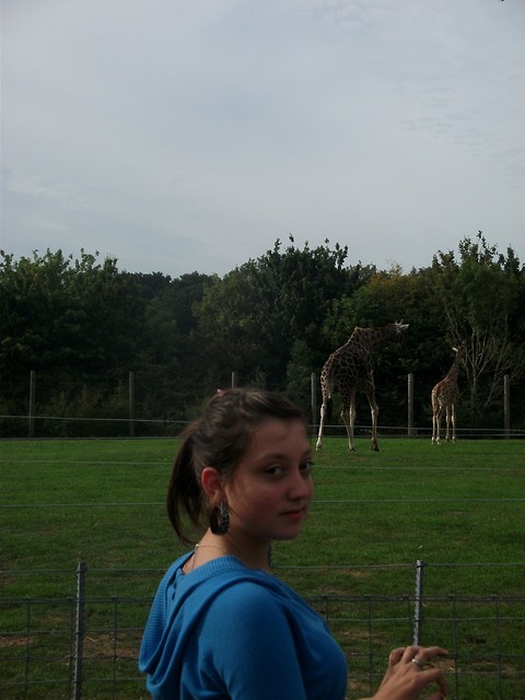 zoo cd.