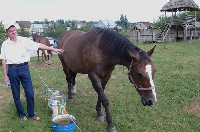 Przy wybiegu w Pocicznie