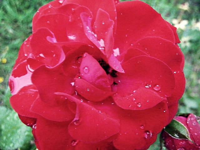 10.