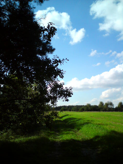 Blue Sky.