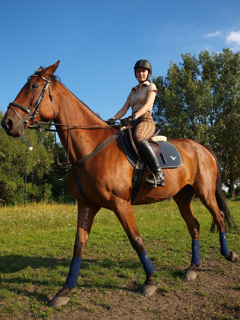 JaGa & Nomi