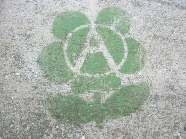 S.257. Anarchiacyncik.