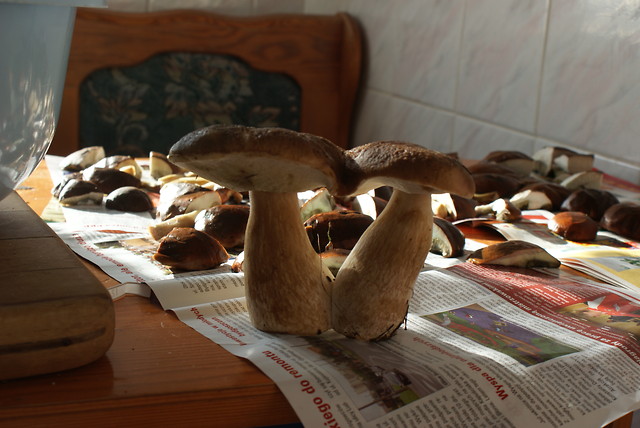 takie okazy tylko na zachemie :P