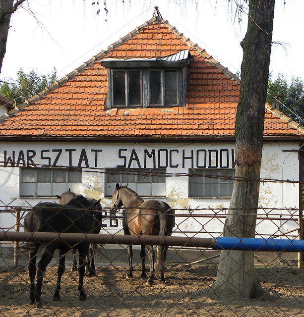 na popraw nastroju