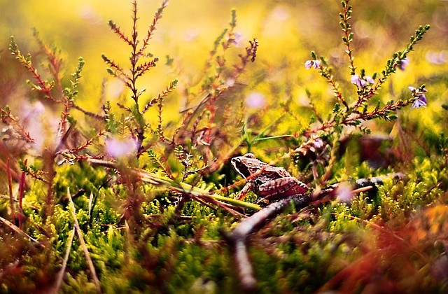 .:Little adventures:.