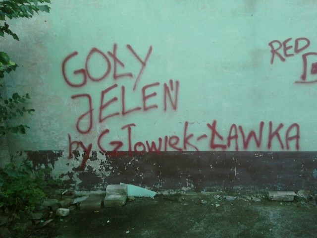 Goy Jele