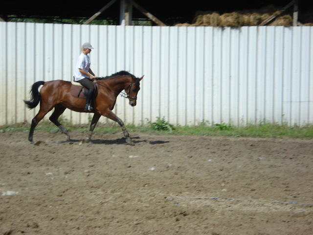 Horciszka