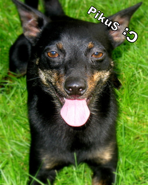 ;p