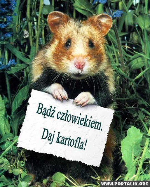 OgoLniE no:)