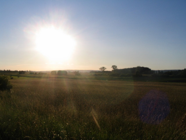 Sunshine :D