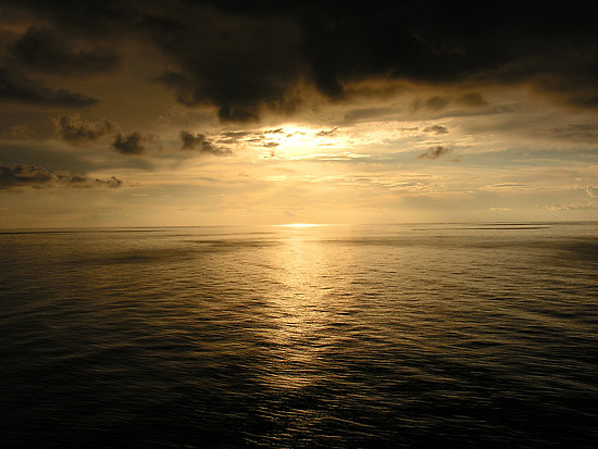 Gry. 