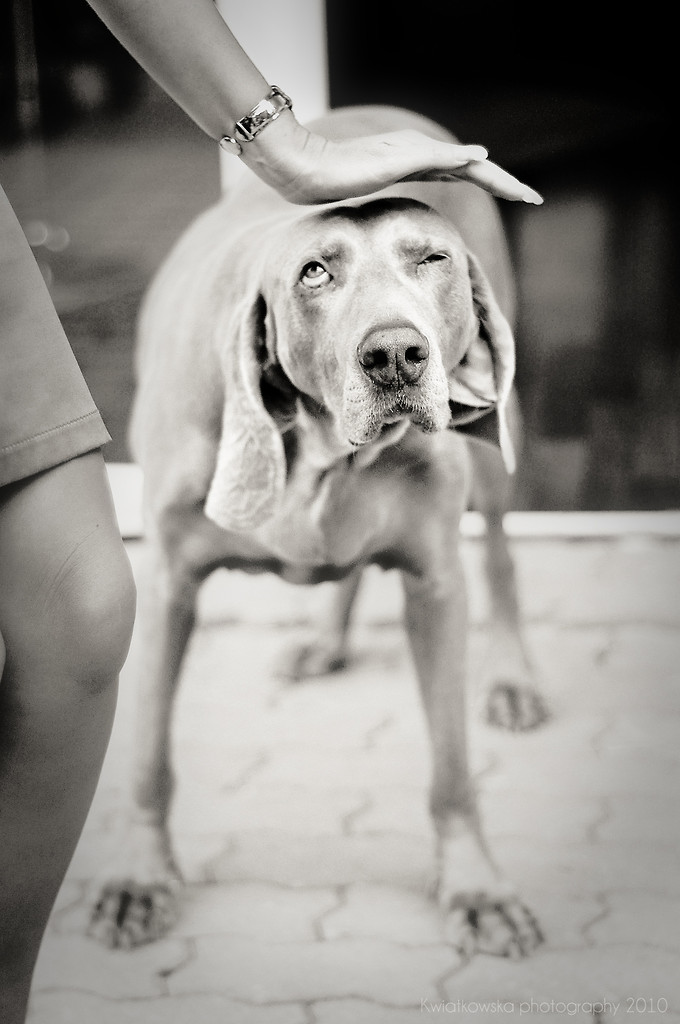 Kepi