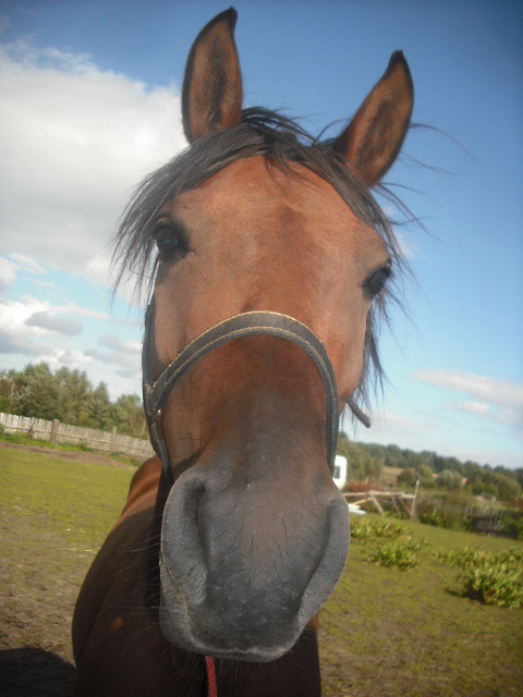 Moje beybe:)