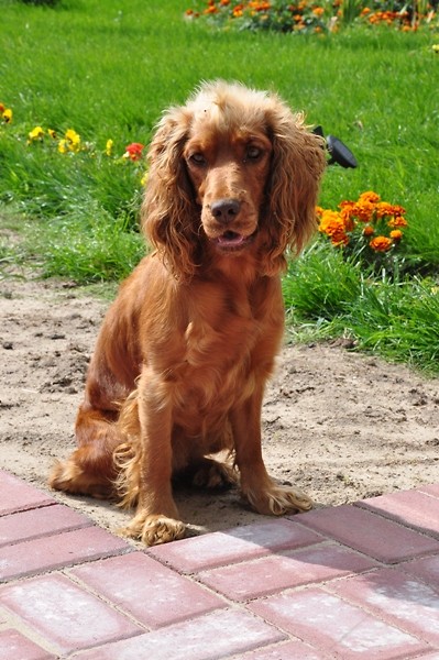 Filiss:)