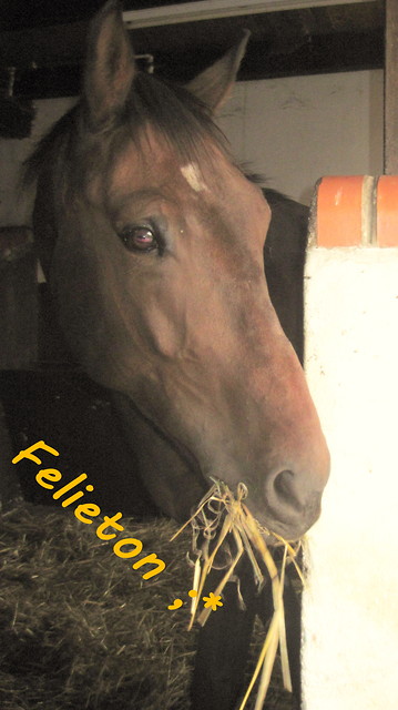Felu ;*